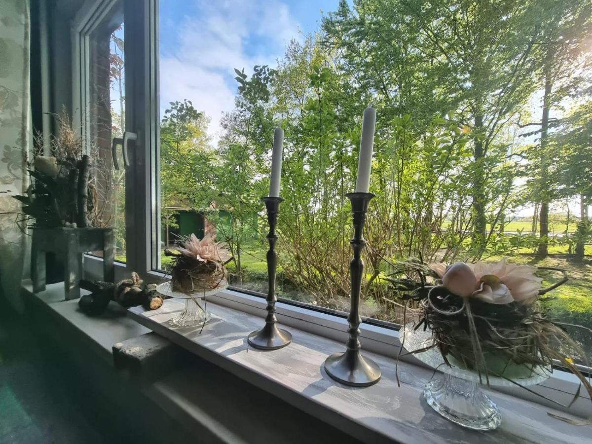 Wohlfuehlurlaub Auf Dem Reit- Und Ferienhof Goldberg Leezdorf المظهر الخارجي الصورة