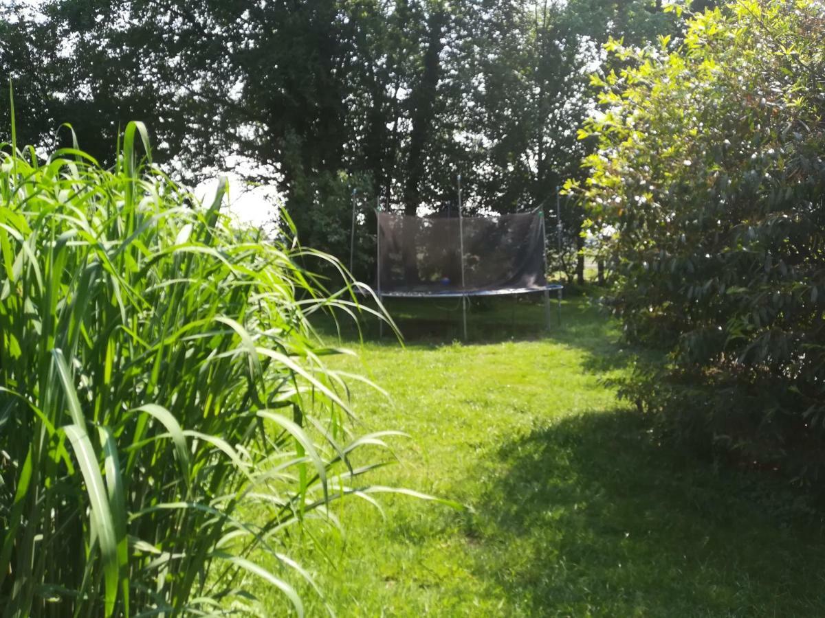 Wohlfuehlurlaub Auf Dem Reit- Und Ferienhof Goldberg Leezdorf المظهر الخارجي الصورة